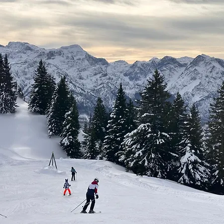 Romantic - Alpine Getaway Salzkammergut アパート Viechtwang