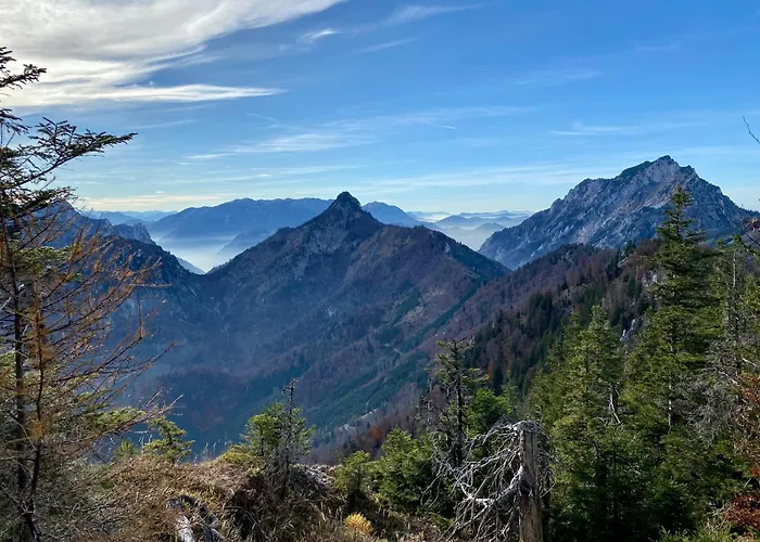 Appartement Garden - Lakes & Peaks - Scharnstein