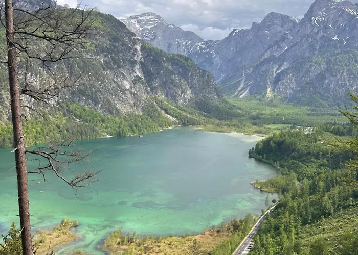 Garden - Lakes & Peaks - Scharnstein Appartement Viechtwang