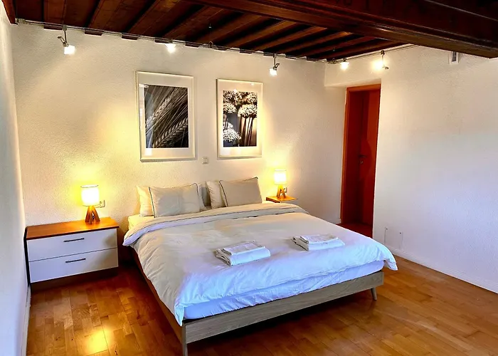 Garden - Lakes & Peaks - Scharnstein Appartement